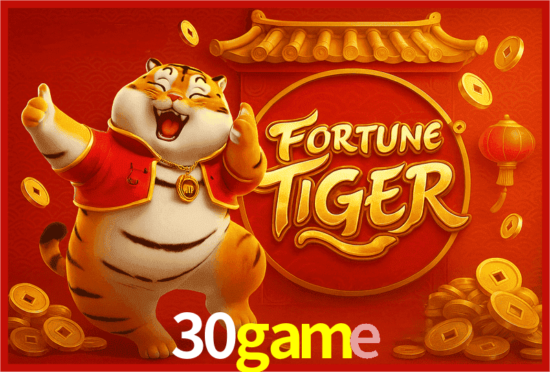 Interface Premium 30game